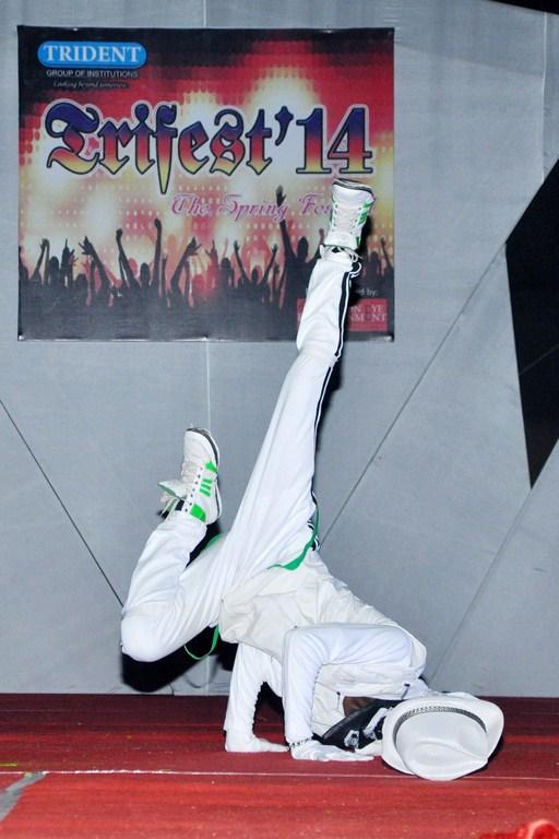 TRIFEST 2014