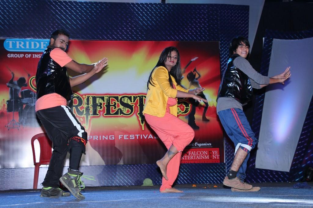TRIFEST 2015