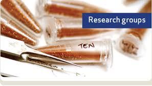 Trident research groups