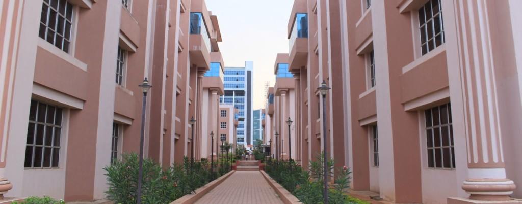 Around the campus